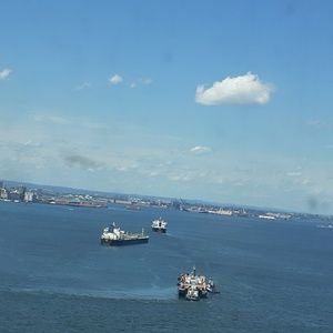 Meet your Posher, Dennis